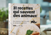 Association Asca, dockers et oeil au beurre noire : les 10 bonnes nouvelles de la semaine !