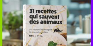 Association Asca, dockers et oeil au beurre noire : les 10 bonnes nouvelles de la semaine !
