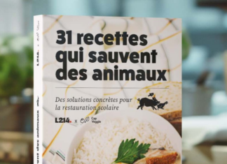 Association Asca, dockers et oeil au beurre noire : les 10 bonnes nouvelles de la semaine !