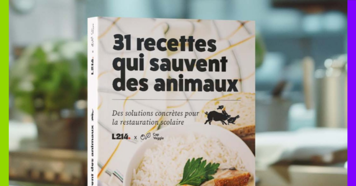 Association Asca, dockers et oeil au beurre noire : les 10 bonnes nouvelles de la semaine !