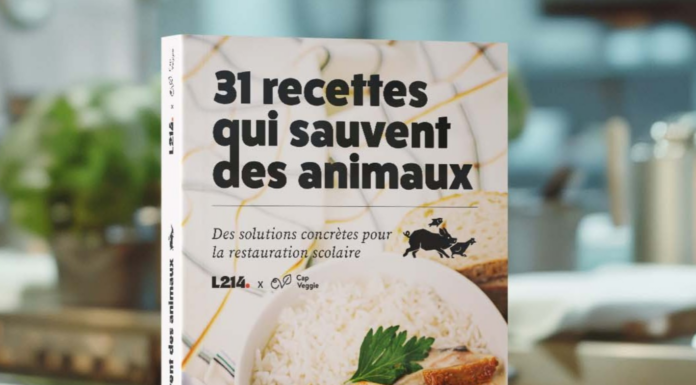 Association Asca, dockers et oeil au beurre noire : les 10 bonnes nouvelles de la semaine !