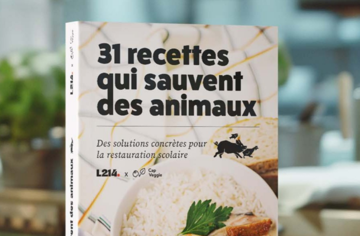 Association Asca, dockers et oeil au beurre noire : les 10 bonnes nouvelles de la semaine !