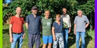 Libre Forêt rachète des forêts… pour ne plus jamais y intervenir Libre Forêt rachète des forêts… pour ne plus jamais y intervenir