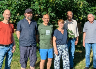 Libre Forêt rachète des forêts… pour ne plus jamais y intervenir