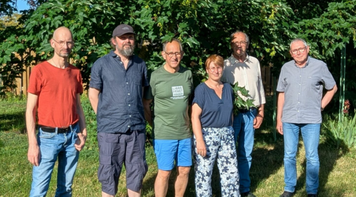 Libre Forêt rachète des forêts… pour ne plus jamais y intervenir
