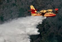 La lutte contre les incendies passe par la planification écologique La lutte contre les incendies passe par la planification écologique