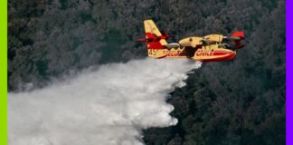 La lutte contre les incendies passe par la planification écologique La lutte contre les incendies passe par la planification écologique