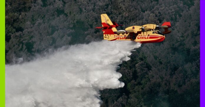 La lutte contre les incendies passe par la planification écologique La lutte contre les incendies passe par la planification écologique