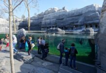 Faut-il renoncer aux zoos et aux aquariums ? Faut-il que les zoos et les aquariums disparaissent ?