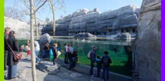 Faut-il renoncer aux zoos et aux aquariums ? Faut-il que les zoos et les aquariums disparaissent ?