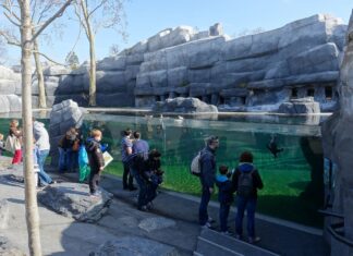Faut-il renoncer aux zoos et aux aquariums ? Faut-il que les zoos et les aquariums disparaissent ?