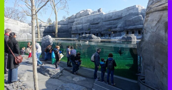 Faut-il renoncer aux zoos et aux aquariums ? Faut-il que les zoos et les aquariums disparaissent ?