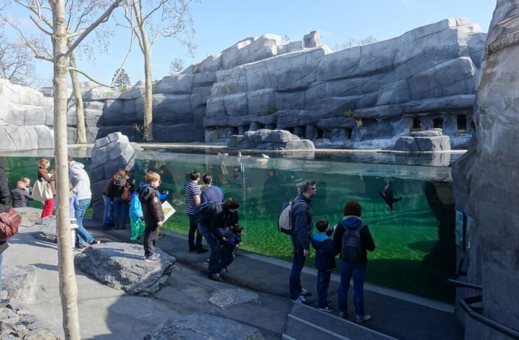 Faut-il renoncer aux zoos et aux aquariums ? Faut-il que les zoos et les aquariums disparaissent ?