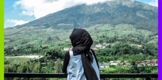 Mouvement antiraciste, forêt nourricière et lutte locale : Top 10 bonnes nouvelles Mouvement antiraciste, forêt nourricière et lutte locale : Top 10 bonnes nouvelles