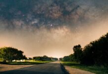 Gauche radicale, Europe contre greenwashing et arbres migrateurs : Top 10 bonnes nouvelles Gauche radicale, Europe contre greenwashing et arbres migrateurs : Top 10 bonnes nouvelles