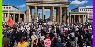 AfD, loi intégrale et A412 : Top 10 actus de la semaine AfD, loi intégrale et A412 : Top 10 actus de la semaine