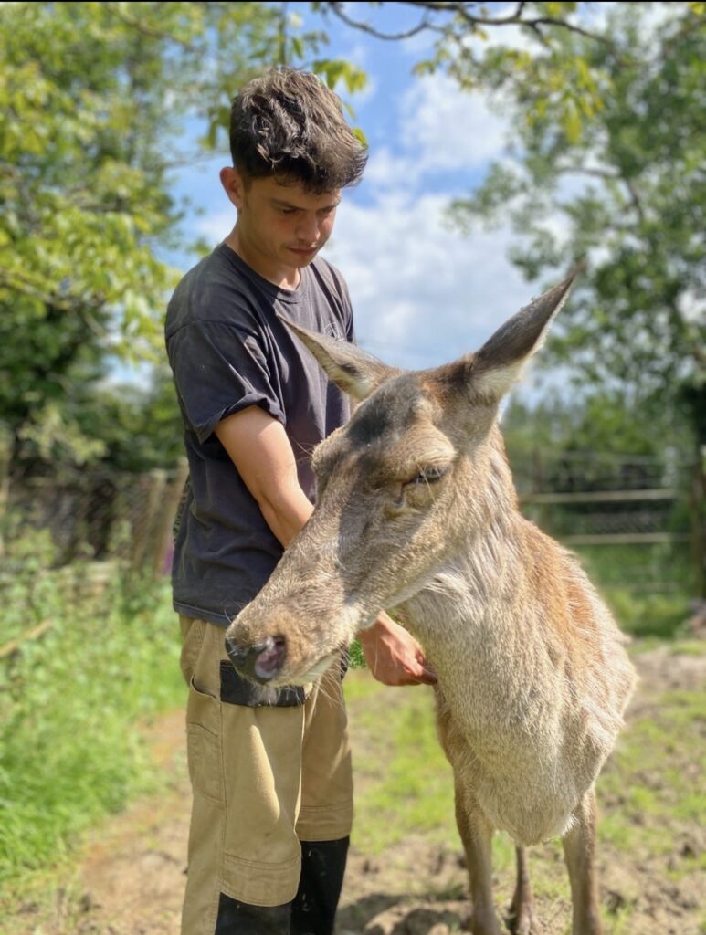 Trois bénévoles sont présents à temps plein au sanctuaire ©Le Repère