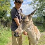 Trois bénévoles sont présents à temps plein au sanctuaire ©Le Repère
