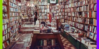 Des livres sacrifiés pour entraîner l’IA Des livres sacrifiés pour entraîner l’IA