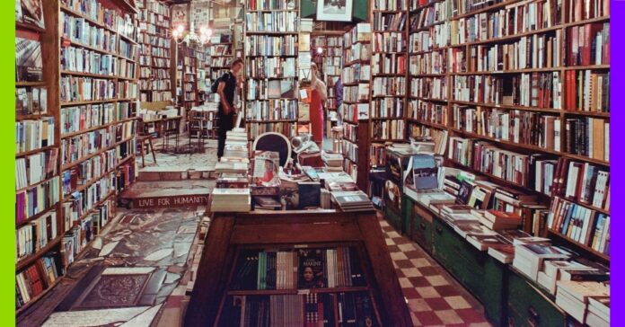 Des livres sacrifiés pour entraîner l’IA Des livres sacrifiés pour entraîner l’IA